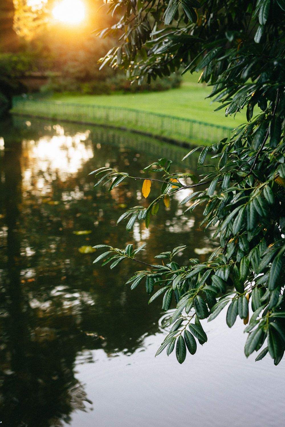 Parc · Ar Milin’ · Hôtel Restaurant Rennes, Ille-et-Vilaine (35)